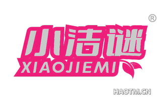 小洁谜