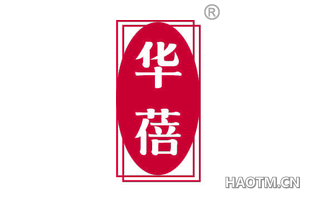 华蓓