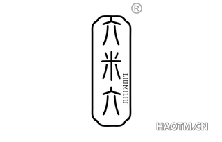 六米六