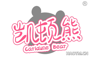 凯顿熊 CARLDUNE BEAR