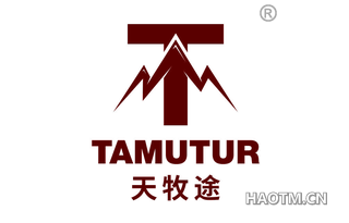 天牧途 T TAMUTUR