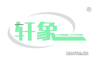 轩象 SHINING ELEPHANT