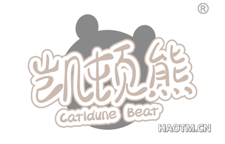 凯顿熊 CARLDUNE BEAR