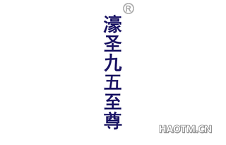 濠圣九五至尊