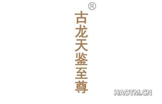 古龙天鉴至尊
