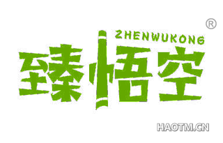 臻悟空