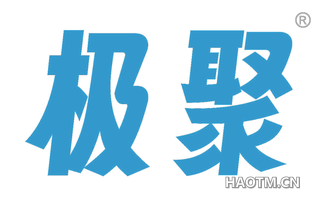 极聚
