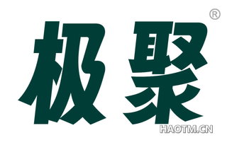 极聚