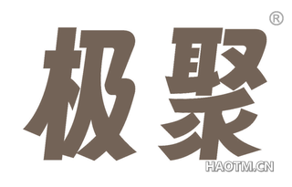 极聚