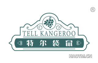 特尔袋鼠 TELL KANGEROO