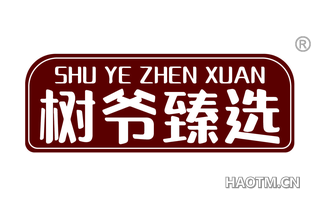 树爷臻选