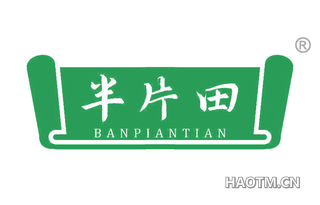 半片田
