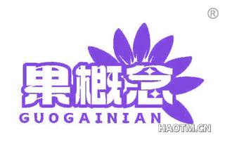 果概念