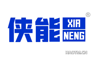 侠能