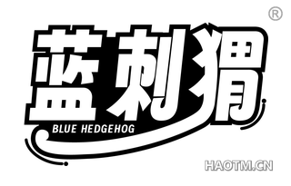 蓝刺猬 BLUE HEDGEHOG