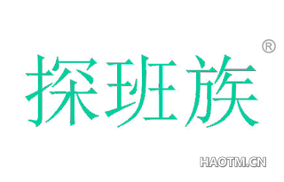 探班族