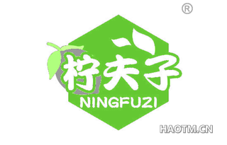 柠夫子
