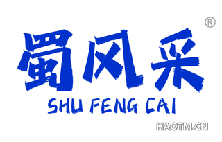 蜀风采