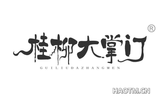 桂柳大掌门