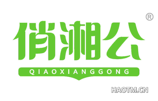 俏湘公