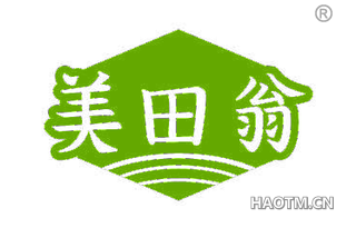 美田翁