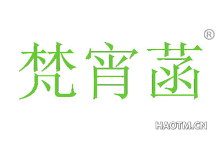 梵宵菡