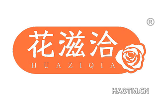 花滋洽