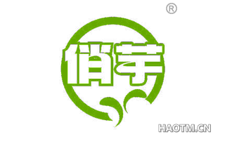 俏芋