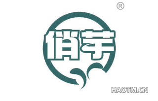 俏芋