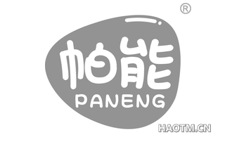 帕能