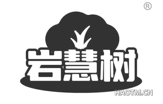 岩慧树