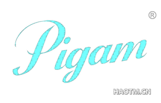 PIGAM