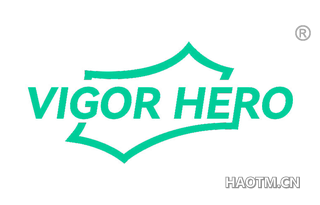 VIGOR HERO