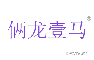 俩龙壹马