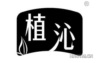 植沁