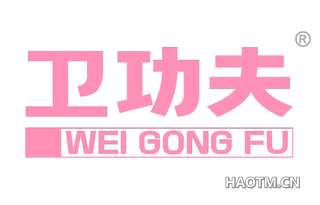 卫功夫