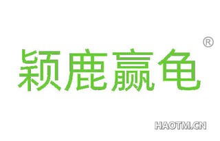 颖鹿赢龟