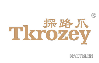 探路爪 TKROZEY