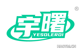 宇曙 YESOLEROI