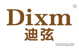 迪弦 DIXM