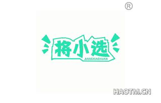 将小选