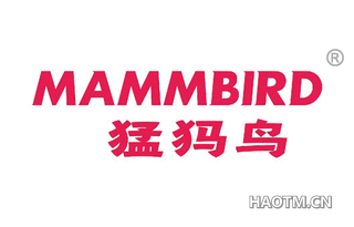 猛犸鸟 MAMMBIRD
