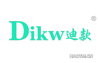 迪款 DIKW