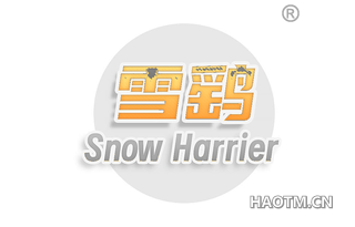 雪鹞 SNOW HARRIER