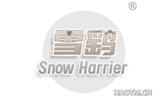 雪鹞 SNOW HARRIER