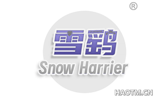 雪鹞 SNOW HARRIER