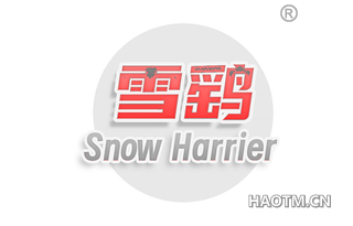 雪鹞 SNOW HARRIER