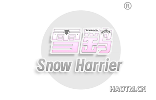 雪鹞 SNOW HARRIER
