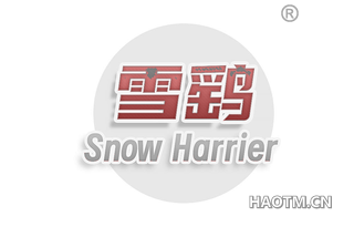 雪鹞 SNOW HARRIER