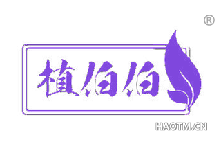 植伯伯